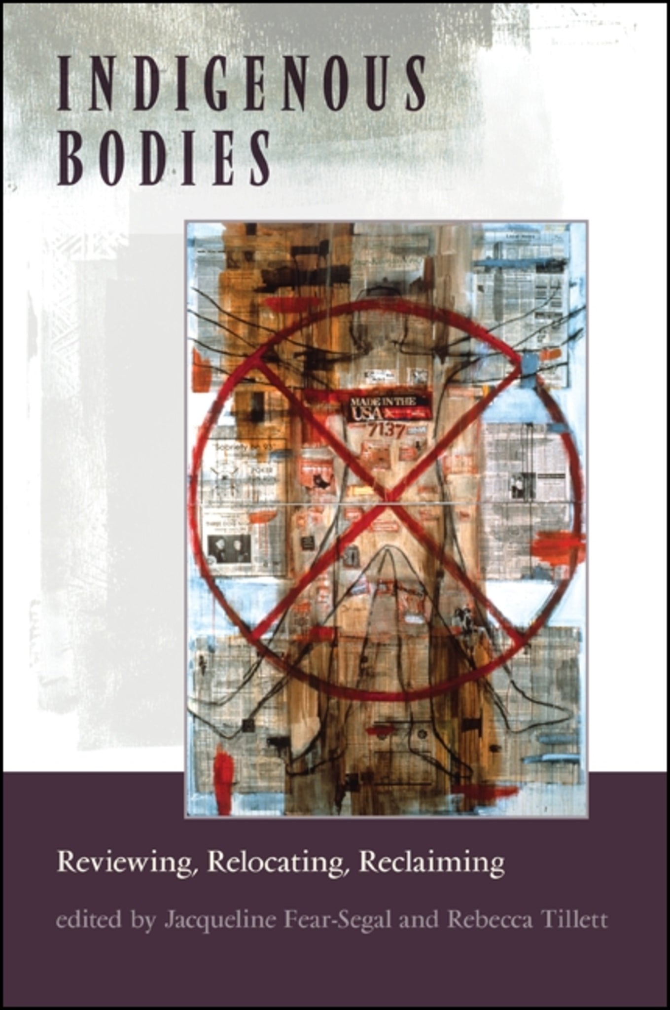 Cover image for Indigenous Bodies ISBN 9781438448206